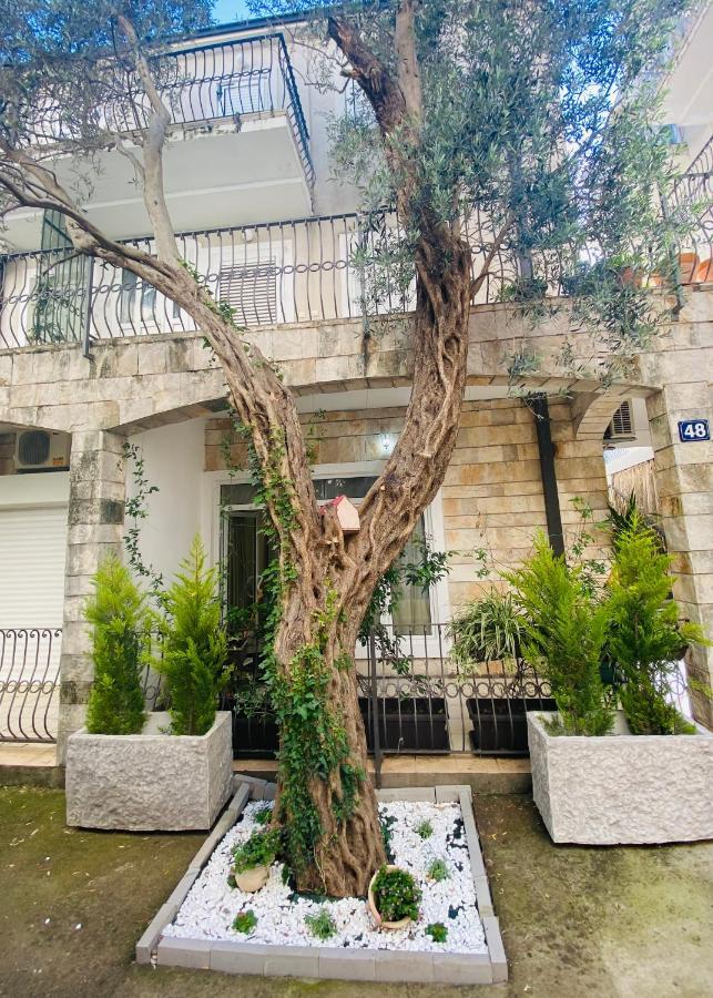 Apartment Oliva1 Petrovac Zewnętrze zdjęcie
